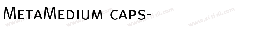 MetaMedium caps字体转换